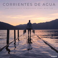 Corrientes De Agua: Una Relajante Atmósfera Para Meditar - 2 Horas
