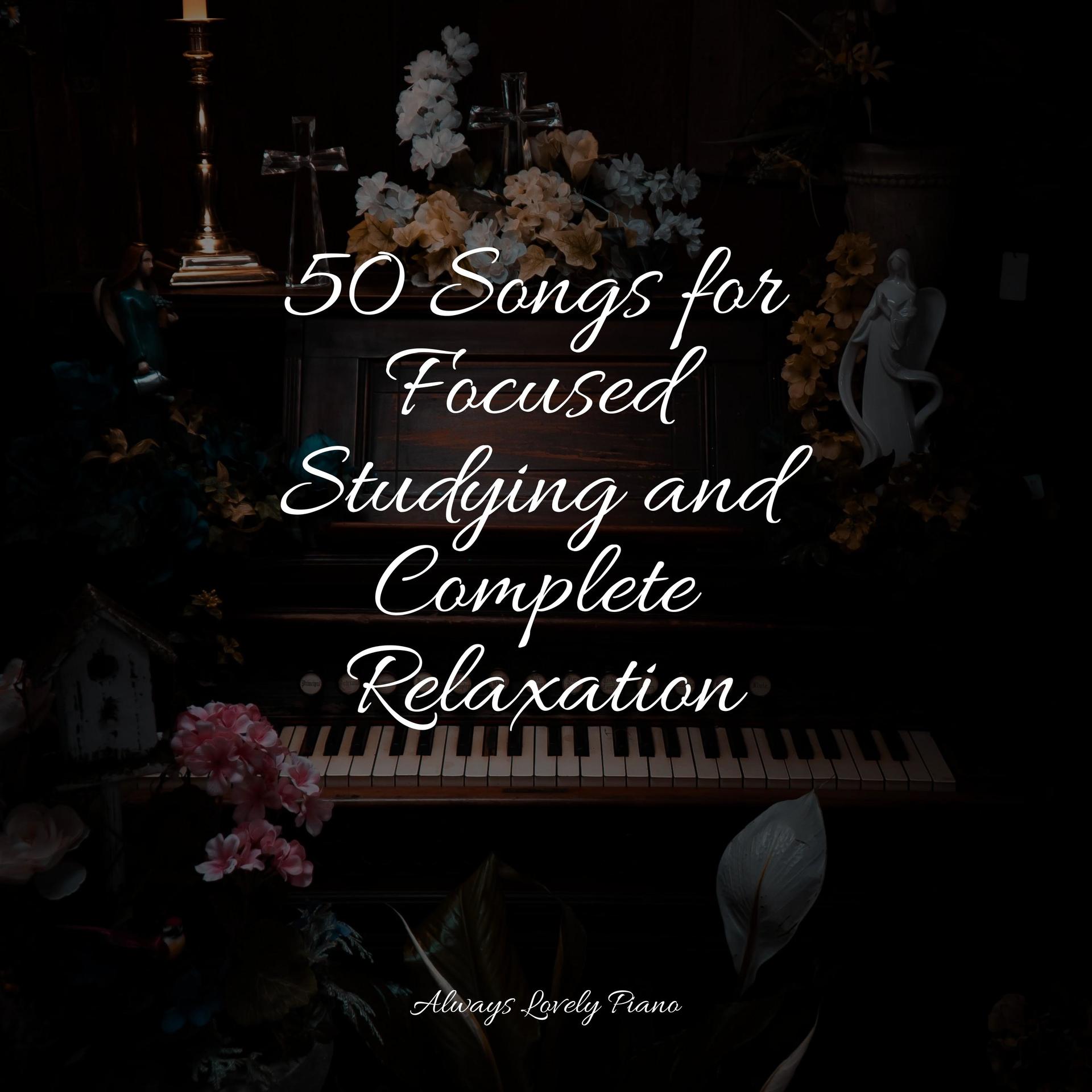 Piano Pianissimo、Relaxar Piano Musicas Coleção、Baby Lullaby - Sacred Ground