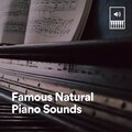 Piano Dreams - Down to Earth Piano