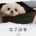 Mr Fang - 忘了没有