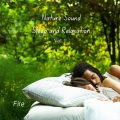 Deep Sleep Sounds、Sleep Therapist、Relaxing Collection - Fire: Nature Sound Sleep and Relaxation Vol. 1 - 3 Hours