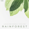 Rainforest: A Soothing Stormy Atmosphere In A Tropical Forest