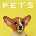 Relaxing Dog Music Playlists、Silent Night Music、Majestic Sleep - Pets: Soothing Nature Music To Relax your Dogs And Cats - 3 Hours