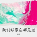 彭媛 - 我们好像在哪见过