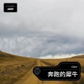 CNLY - 曲中人