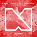 Pyrodox、Martyn Ell - Never Gonna Leave My Mind