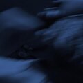 ZeeYoor、Truce - Show me a band