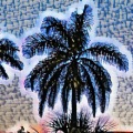 Cole Curto - Reasons Because