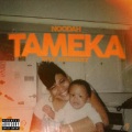 Tameka (Explicit)