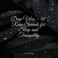 Asian Zen Spa Music Meditation、Tinnitus、Nature Sounds Artists - White Noise Splashing Rain Drops