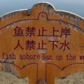 清绾 - 备胎