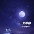 清音crystal - 一生等你