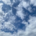 Peter Pool - SKY