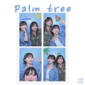 새벽공방 (SBGB) - Palm tree