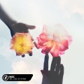 Swell Scenic、Lost.、Pop Mage - Magic (Acoustic)