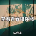 拿着青春陪你赌 (DJ何友 remix)