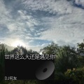 世界这么大还是遇见你 (DJ何友 remix版)(Remix)