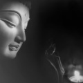 云丹喜若 - 1、【赞颂文】修心八颂