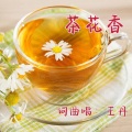 王丹 - 茶花香