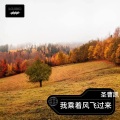 圣曹凯 - 我乘着风飞过来