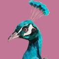 Flume - Say It (feat. Flume)
