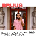 Bruus、MikeyDollaz、Hardknock、Jae Haze、Wale Abdul、Mic Terror、Rufus Sims - Lake Shore Drive (Explicit)