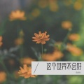 I狱长I - 这个世界不会好