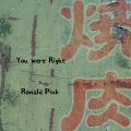 Ronald Pink - Singh