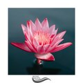Song Sleep Ambient