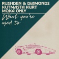 KutMasta Kurt、Moka Only、Robert Karl Edward Koch、Michael James Gilbert、Rushden & Diamonds - What You're Used To