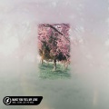 Swell Scenic、Lost.、Pop Mage - Make You Feel My Love (Acoustic)