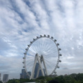 小鱼 - 如果