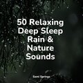 50 Relaxing Deep Sleep Rain & Nature Sounds