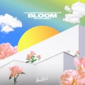 Bloom (nowifi Remix)