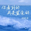 仲思浩 - 你看到的我是蓝色的