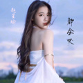 赵星瑜 - 碎银几两