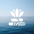 Calming Rise of Meditation