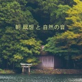 朝 瞑想 と 自然の音 (リラクゼーション 音楽 鳥のさえずりで)