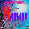 Apxcxlyptic、WhoKxlledJxn、Micco - WASTED!
