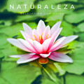 Naturaleza: Relajación Con Hojas
