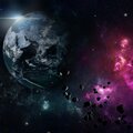 Black Birds - see the world on fire