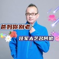 爸妈你别老DJ版