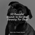 50 Peaceful Sounds to Get You Serenity For Dogs