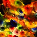 꽃감기 (flower Flu)