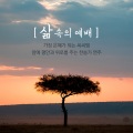 삶속의 예배 (가장 은혜가 되는 씨씨엠, 맘에 평안과 위로를 주는 찬송가 연주)