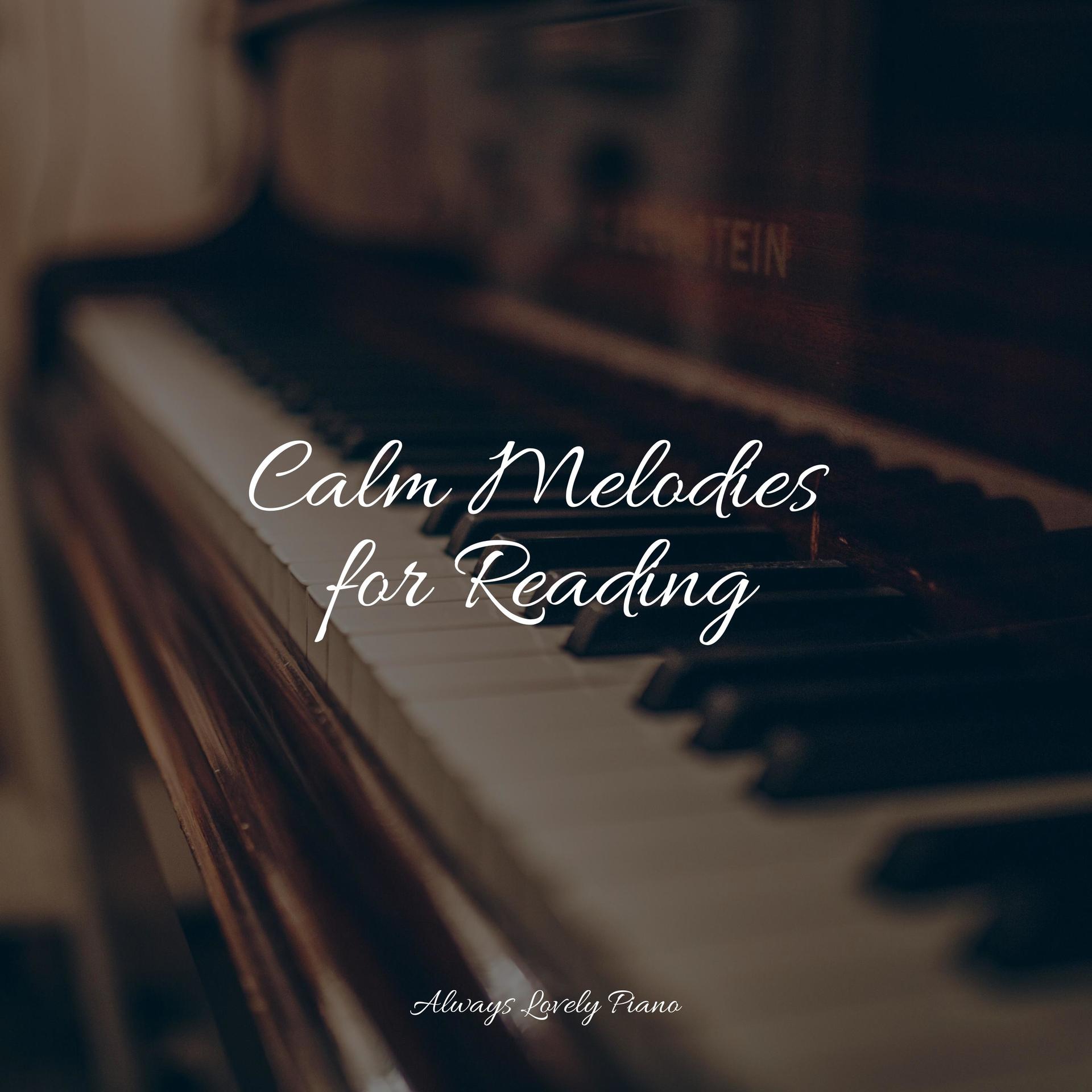 Study Piano、Piano bar、Baby Sleep Music - Ready for You