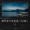 DJ阿星 - 别等放手说爱我