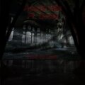 Acerte Mia (feat. Scole) [Explicit]
