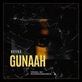 Tes、NRVNA - Gunaah (Explicit)