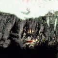 CALV - INSANITY (Explicit)